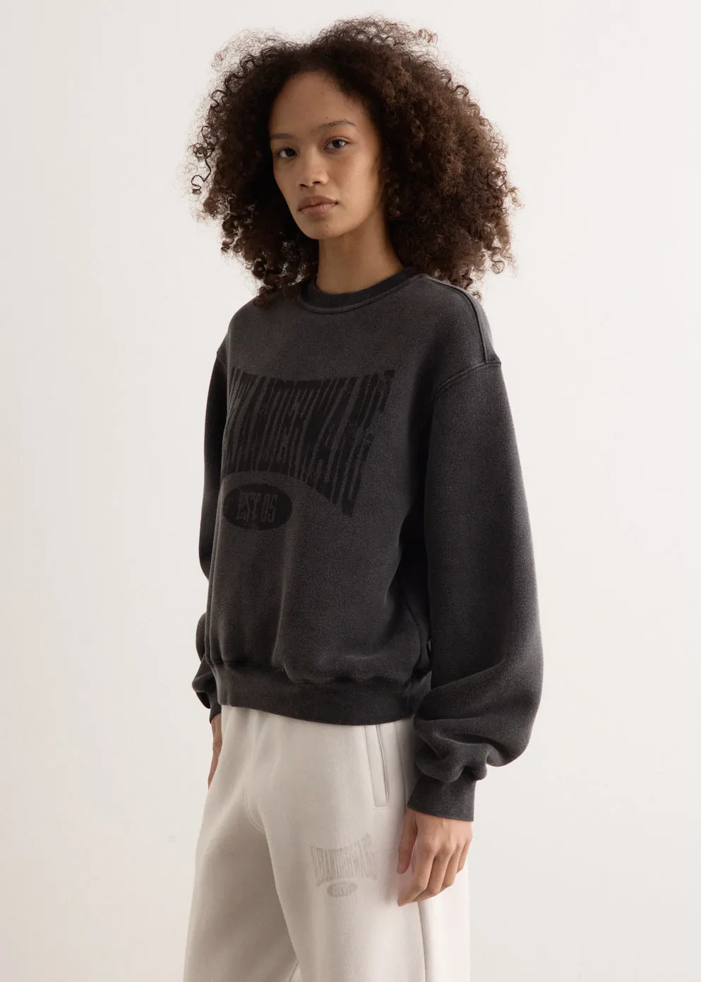 Graphic Crewneck Sweatshirt
