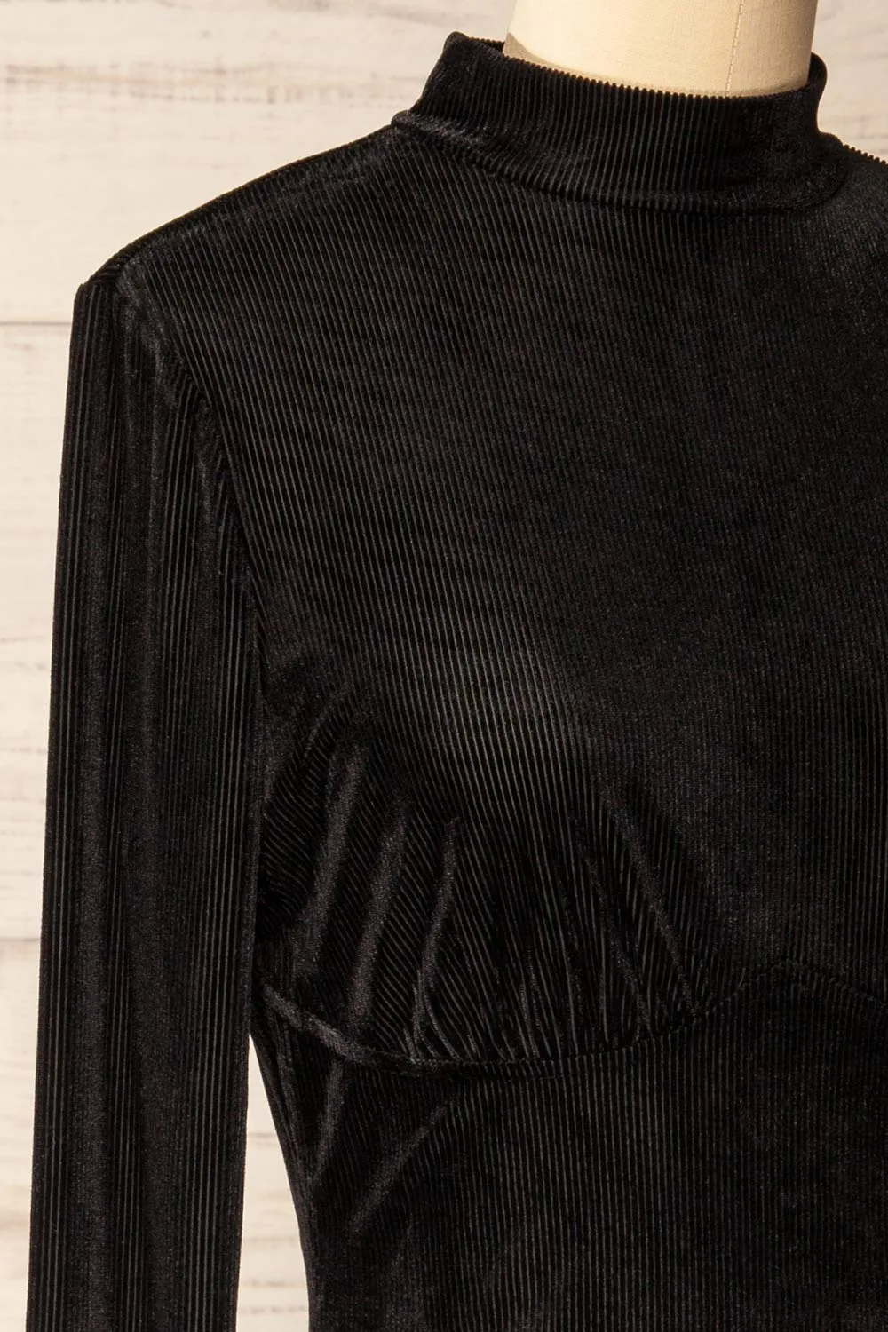 Olmeto | Black Velvet Dress w/ High Collar