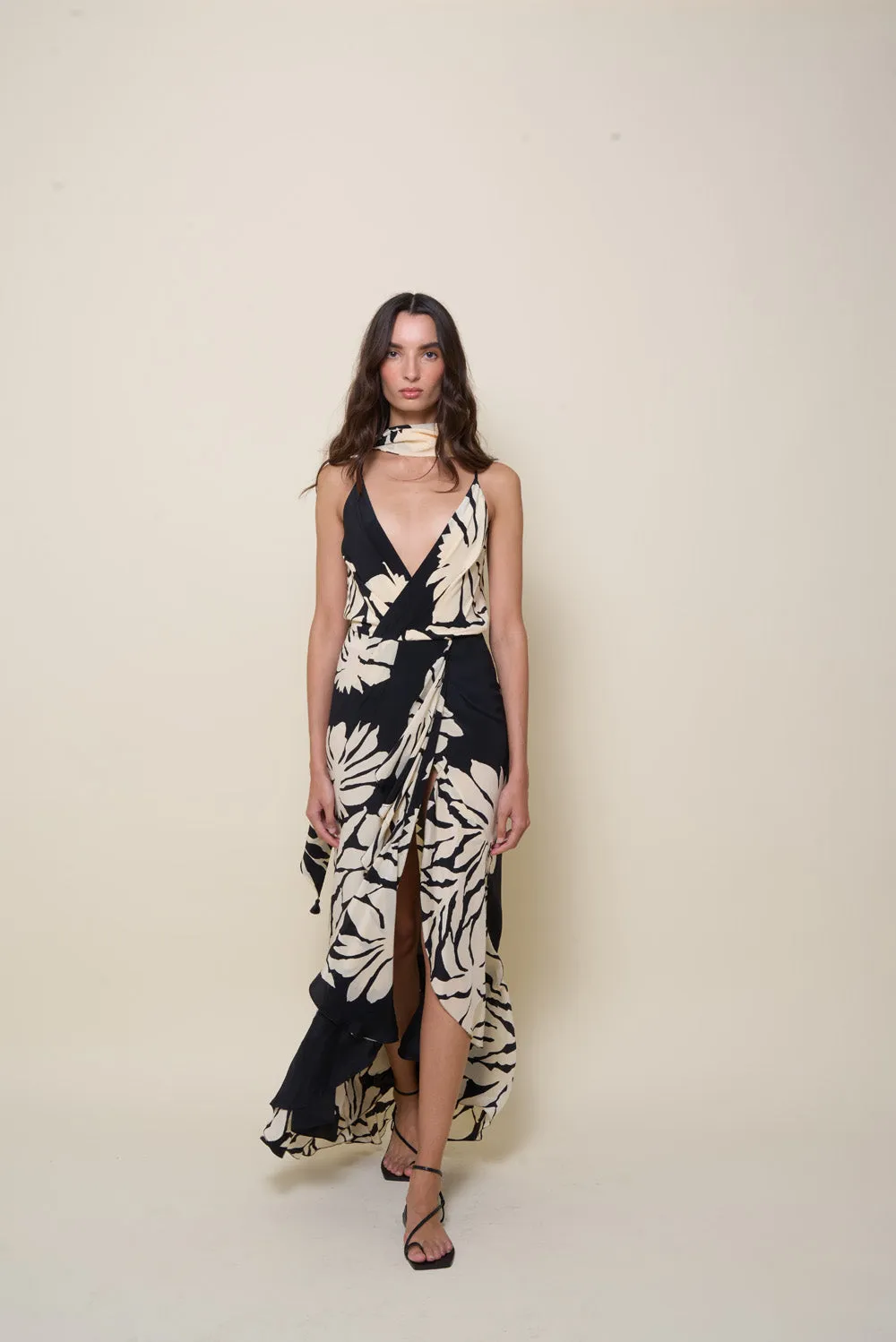 Santa Cruz Dress
