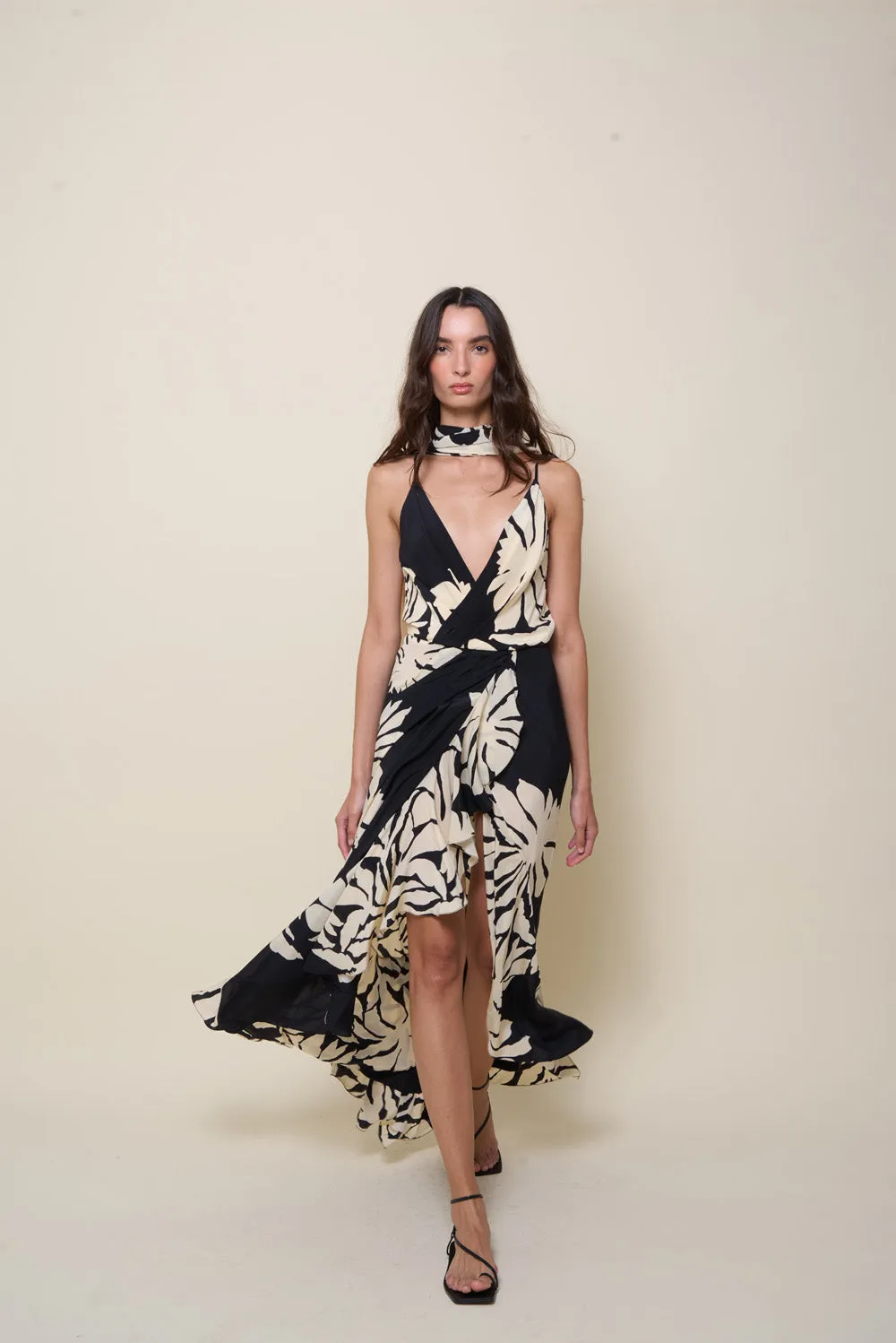 Santa Cruz Dress