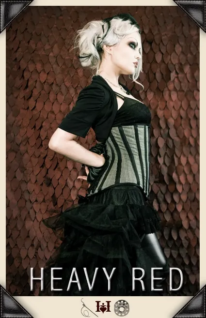 Victorian Plaid Waist Corset