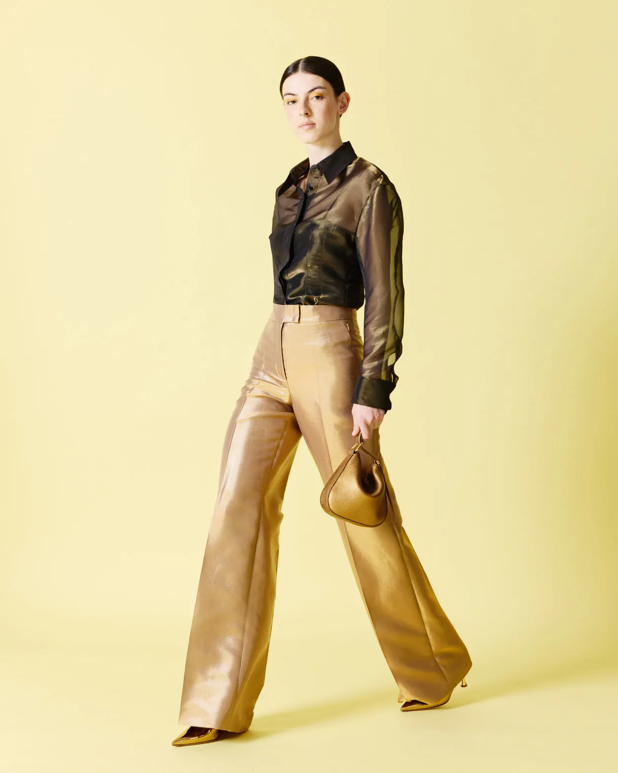 Wide Cotton and Lurex Pants
